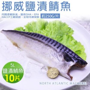 5L大挪威薄鹽鯖魚10片免運組(250g/片)